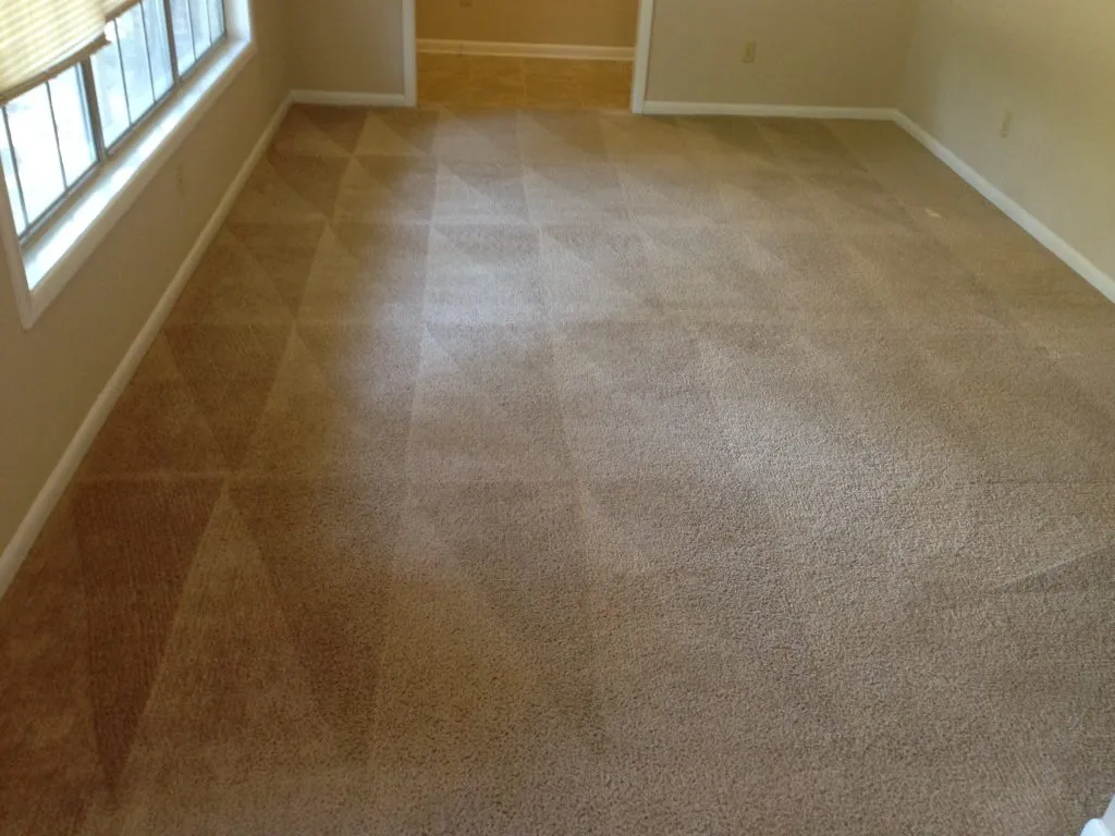 Carpet Cleaning